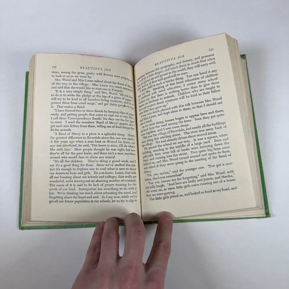 Beautiful Joe by Marshall Saunders 1920 Antique book